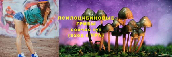 2c-b Костерёво