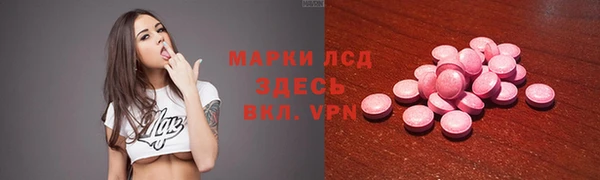 ГАЛЛЮЦИНОГЕННЫЕ ГРИБЫ Корсаков