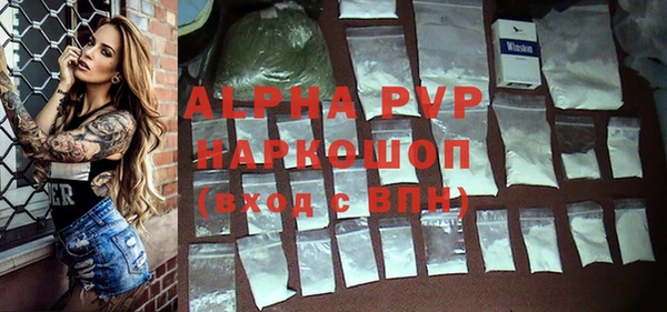 ГАЛЛЮЦИНОГЕННЫЕ ГРИБЫ Корсаков