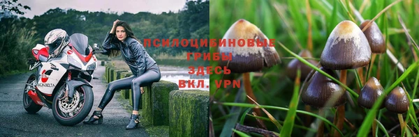 2c-b Костерёво