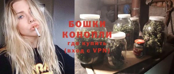 ГАЛЛЮЦИНОГЕННЫЕ ГРИБЫ Корсаков