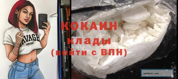 ГАЛЛЮЦИНОГЕННЫЕ ГРИБЫ Корсаков