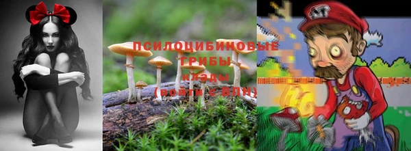 прущая мука Коряжма