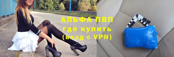 ГАЛЛЮЦИНОГЕННЫЕ ГРИБЫ Корсаков