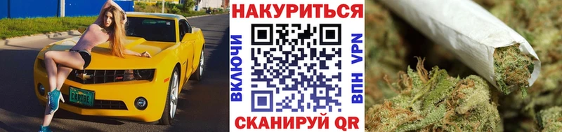 Канабис SATIVA & INDICA  Купить где  Игра 